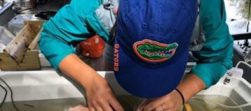 Student Subunit image