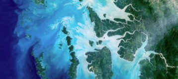 Editorial Assistance Program image