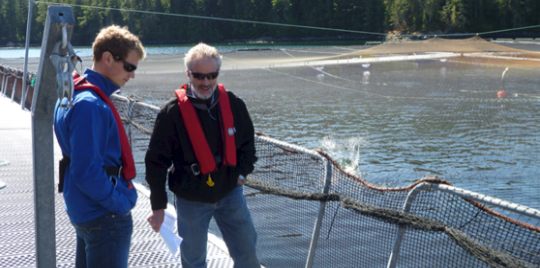 Screen Shot 2018-05-30 at 12.27.24 PM