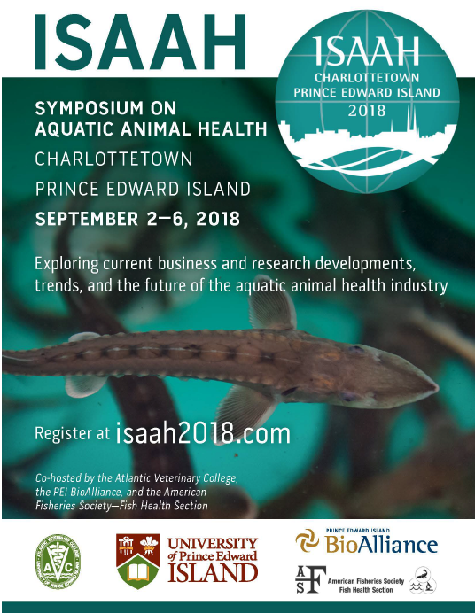 Screen Shot 2018-06-06 at 2.44.11 PM