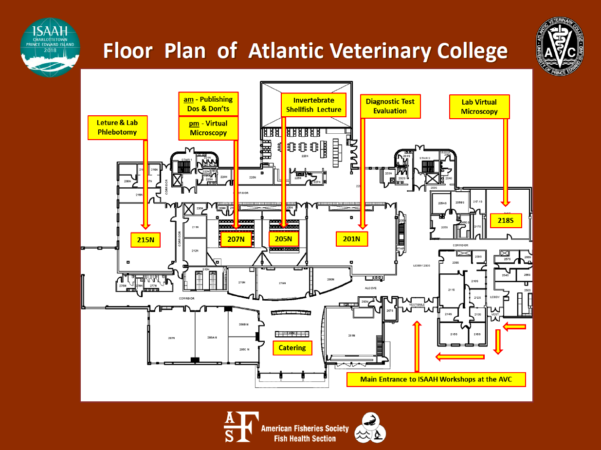 Screen Shot 2018-08-27 at 3.24.23 PM