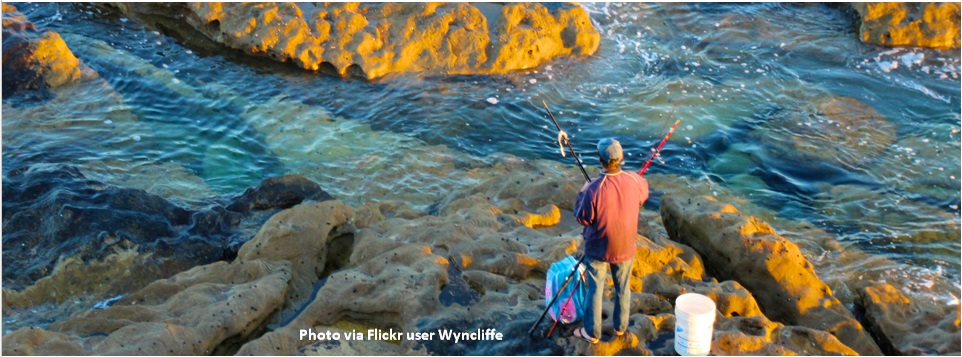 Welcome to the AFS Socioeconomics section! slide