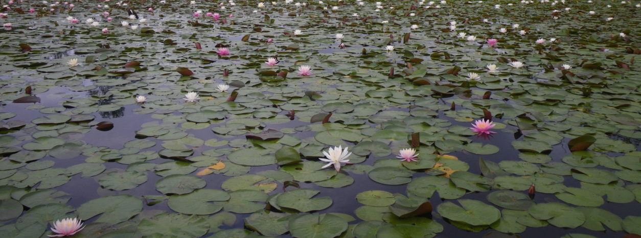 Become a Member! slide